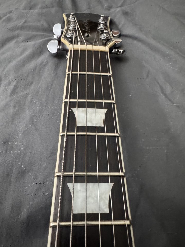 Sire larry carlton L7