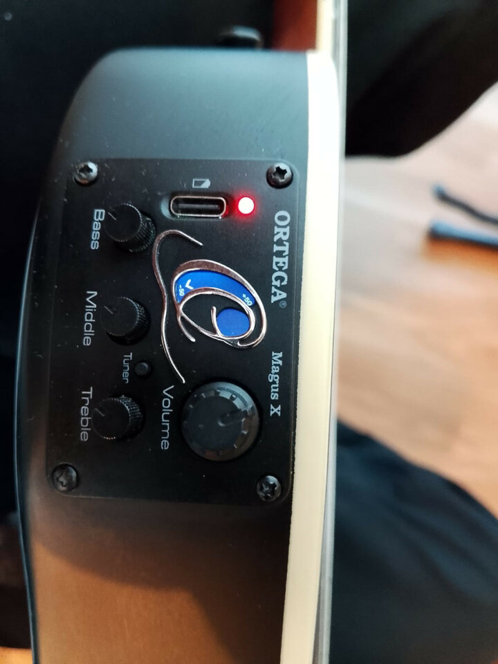 Ortega tour player black