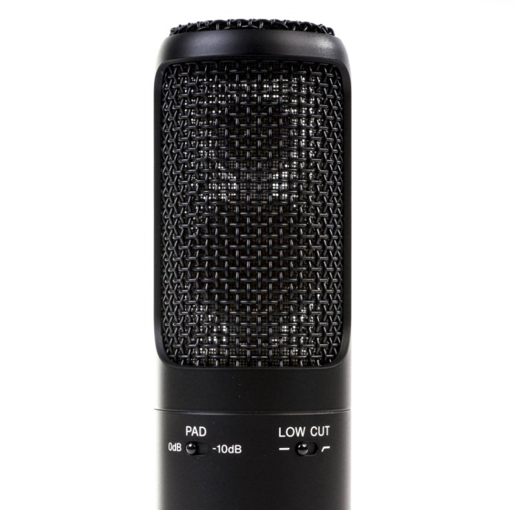 Micrófono Sony c-100 (condensador de gran diafragma)