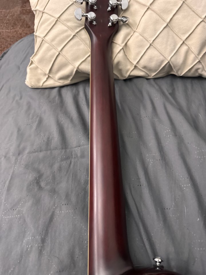 Sire larry carlton L7