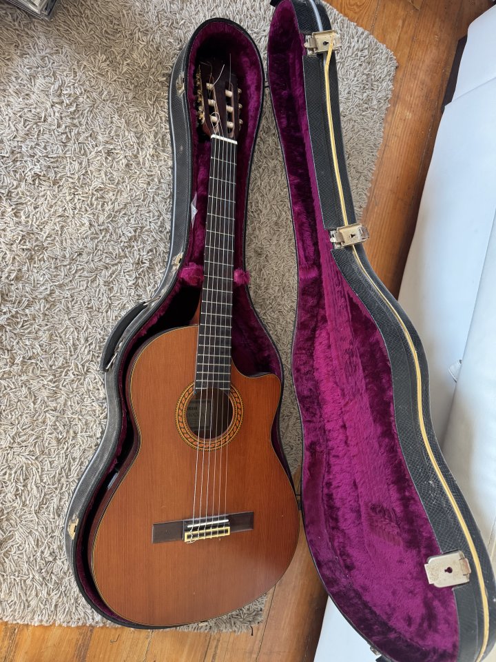 Guitarra Española Yamaha Autoamplificada