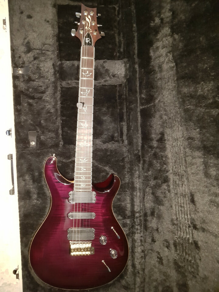 Prs 513 25th anniversary Angry Larry