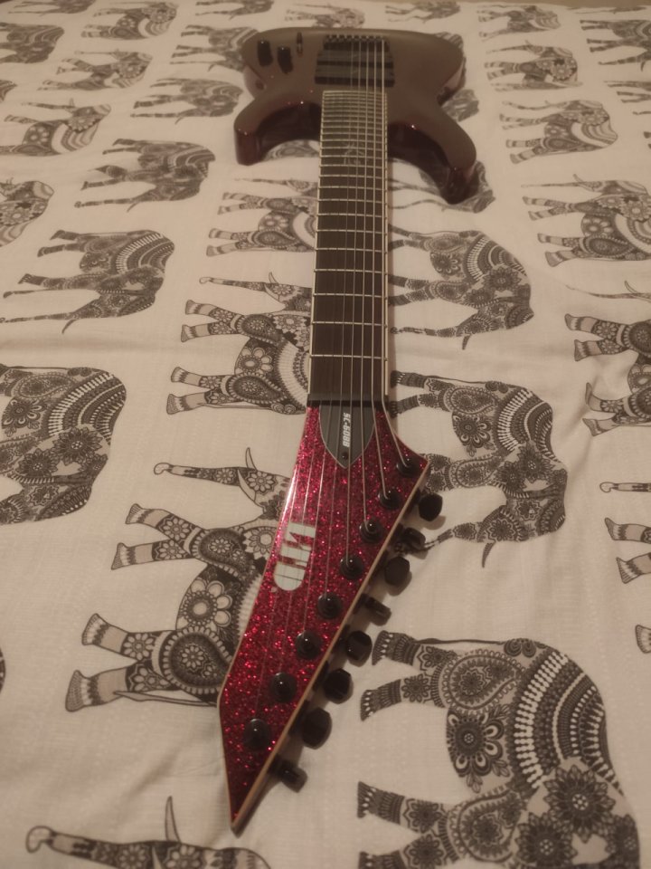 ESP LTD SC-608B Stephen Carpenter Signature 8-String de segunda mano · Foto 2 de 6 · Bizkaia · 1500 €