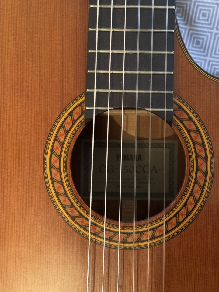 Guitarra Española Yamaha Autoamplificada