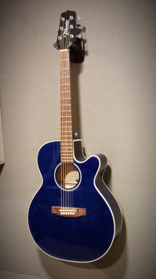 Takamine G Series
