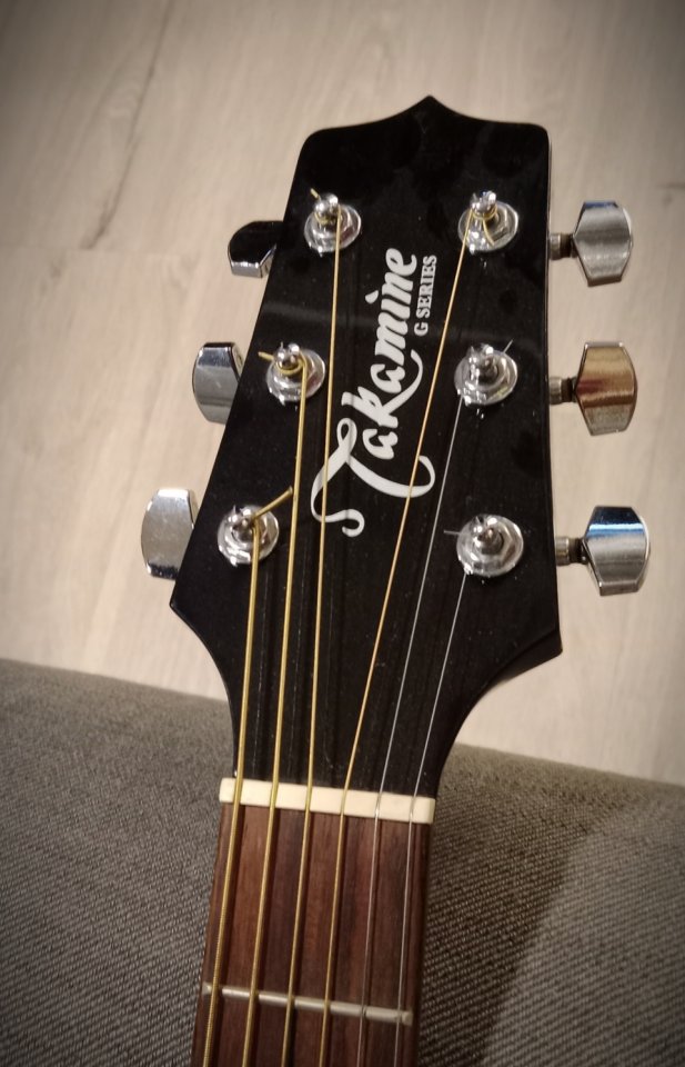 Takamine G Series