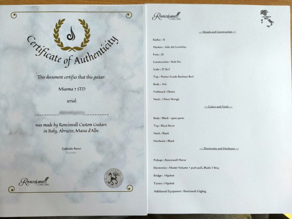 Ronciswall Miasma 7 STD 2022 (7 cuerdas luthier italiano Gabriele Ronci)