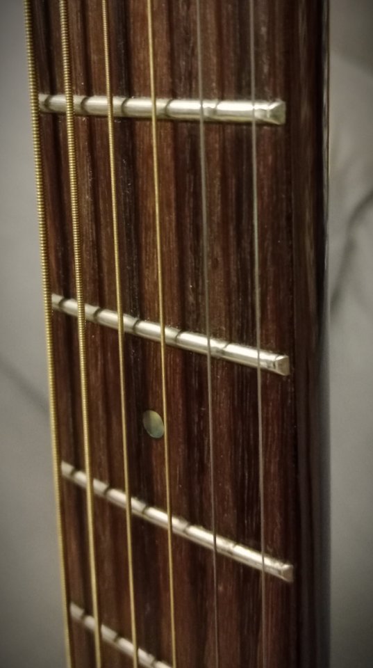 Takamine G Series