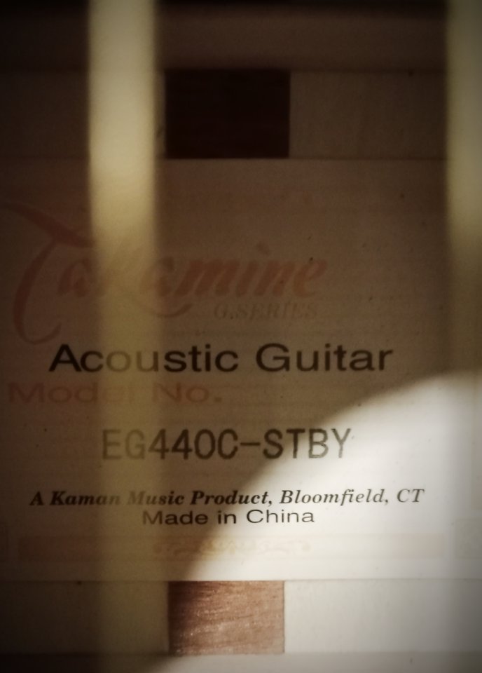 Takamine G Series