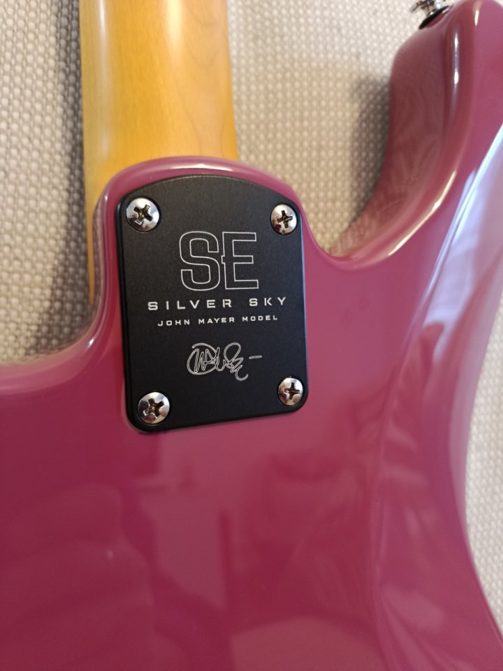 Prs se Silver sky Dragon fruit de segunda mano · Foto 6 de 10 · Cantabria · 500 €