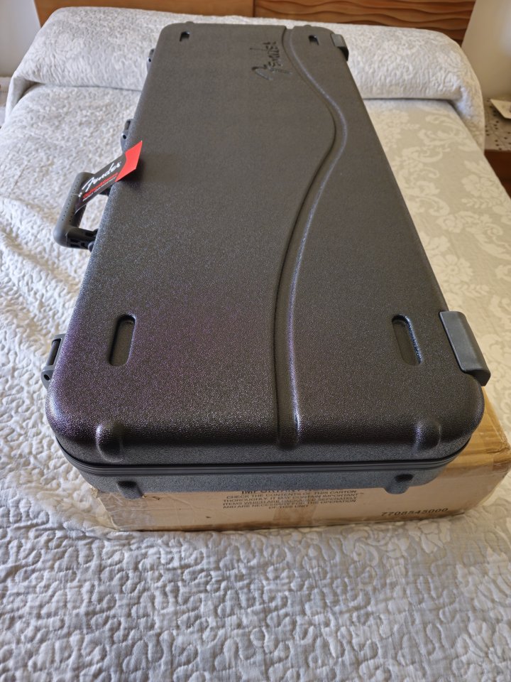 Fender AM Ultra Stratocaster RW UB de segunda mano · Foto 8 de 8 · Zaragoza · 1750 €