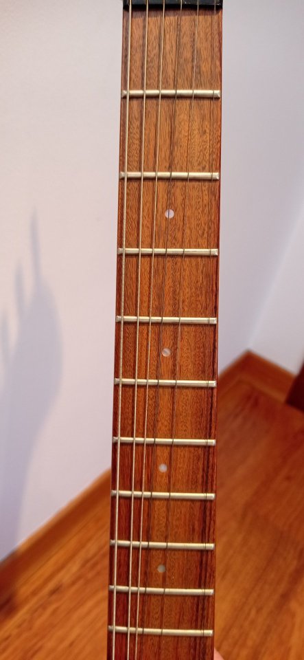 Guitarra eléctrica Fernandes de segunda mano · Foto 5 de 8 · Cuenca · 300 €