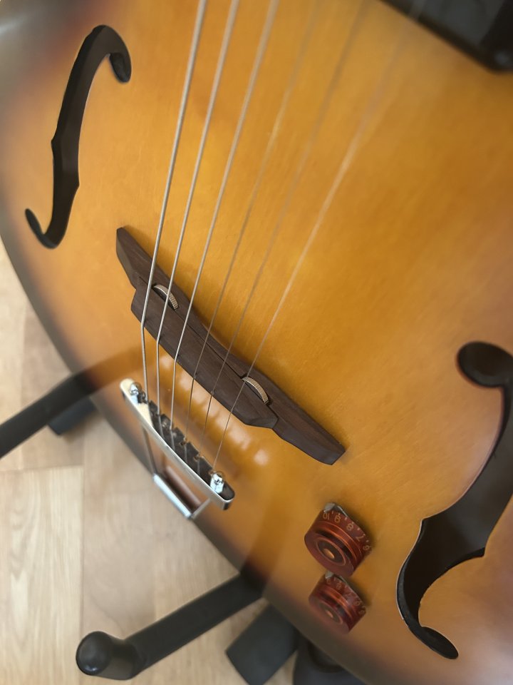 Epiphone Century Inspired by 1966