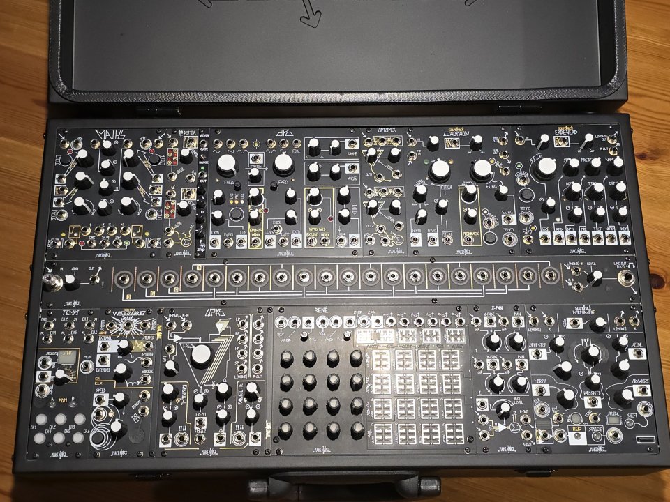 Makenoise shared system black and gold plus de segunda mano · Foto 1 de 5 · Valladolid · 5000 €