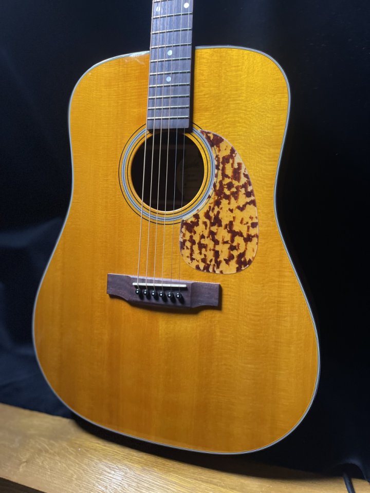 Blueridge Br160 por telecaster de segunda mano · Foto 1 de 6 · Barcelona