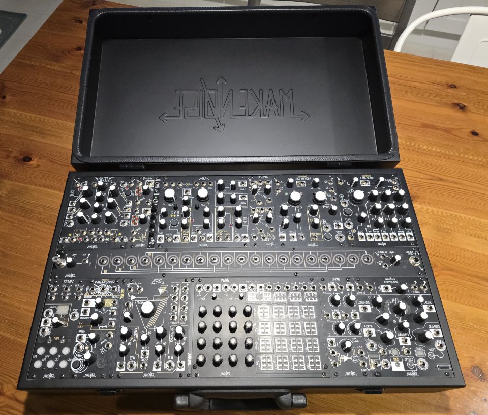 Makenoise shared system black and gold plus de segunda mano · Foto 3 de 5 · Valladolid · 5000 €
