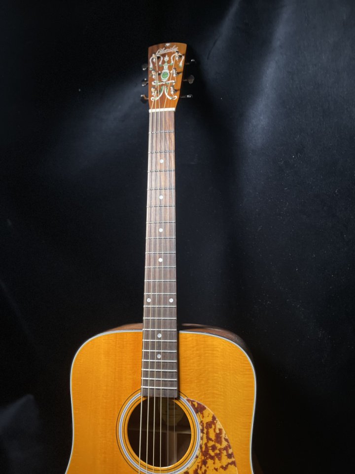 Blueridge Br160 por telecaster de segunda mano · Foto 3 de 6 · Barcelona