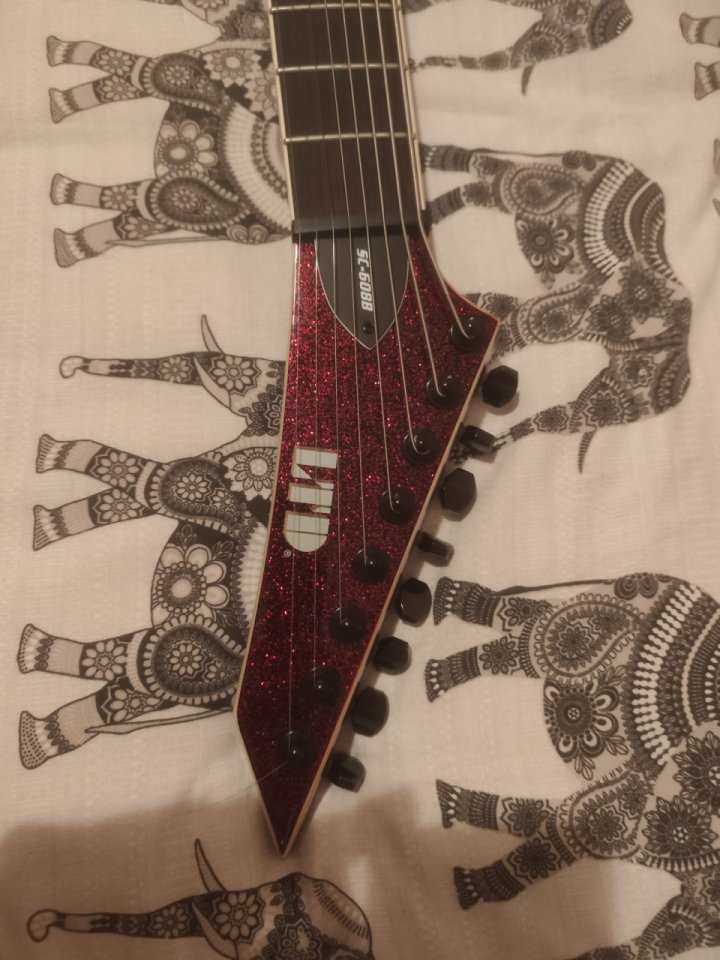 ESP LTD SC-608B Stephen Carpenter Signature 8-String de segunda mano · Foto 5 de 6 · Bizkaia · 1500 €