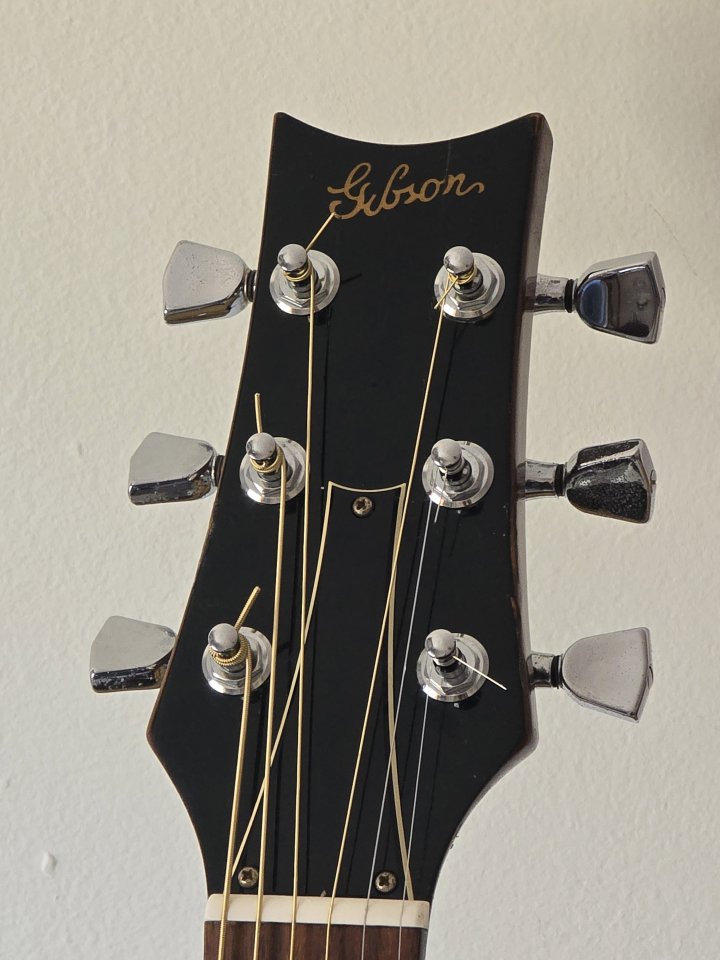 Acustica Takamine