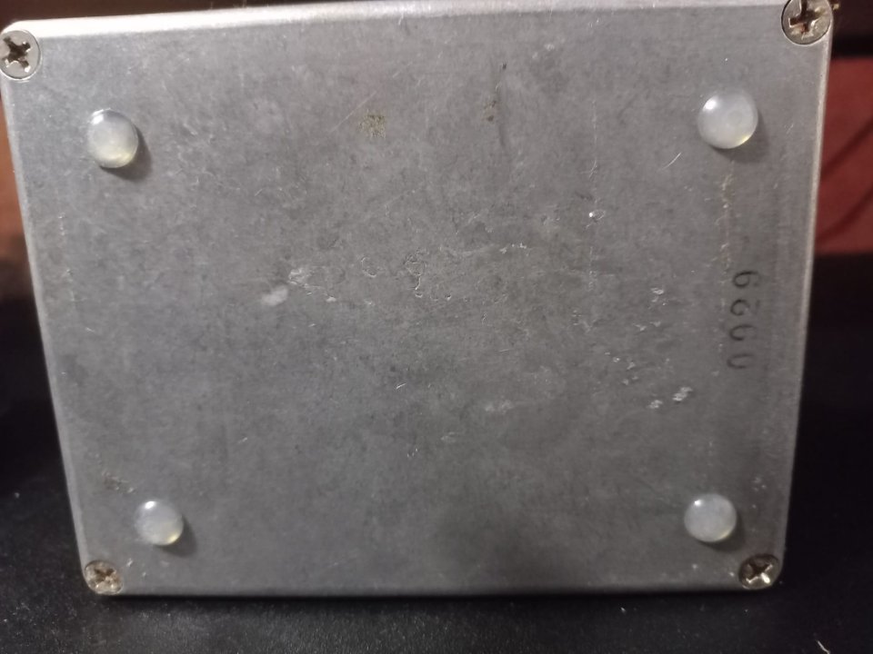 Jersey Girl MiddRanger