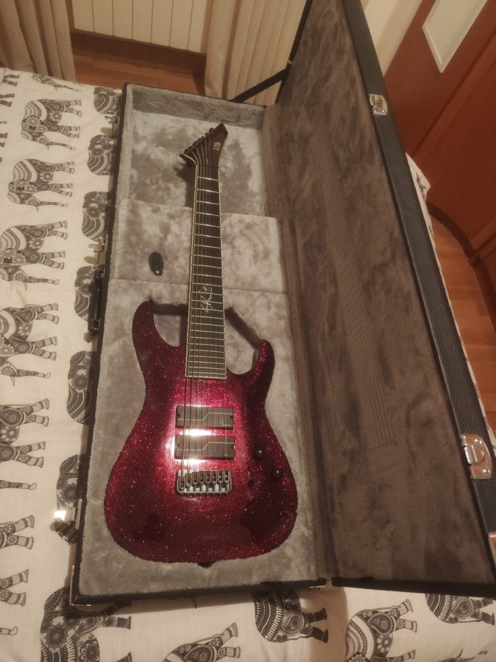 ESP LTD SC-608B Stephen Carpenter Signature 8-String de segunda mano · Foto 6 de 6 · Bizkaia · 1500 €