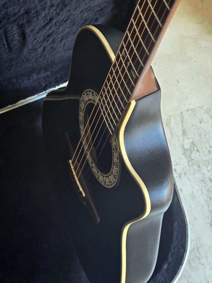Acustica Takamine