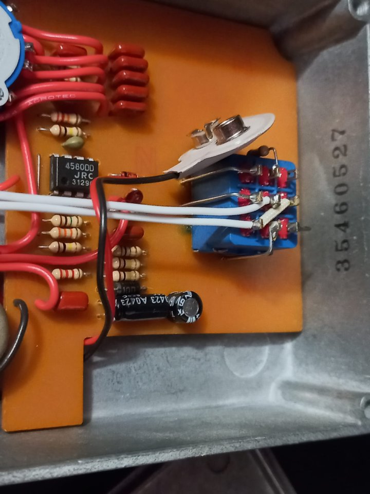 Jersey Girl MiddRanger