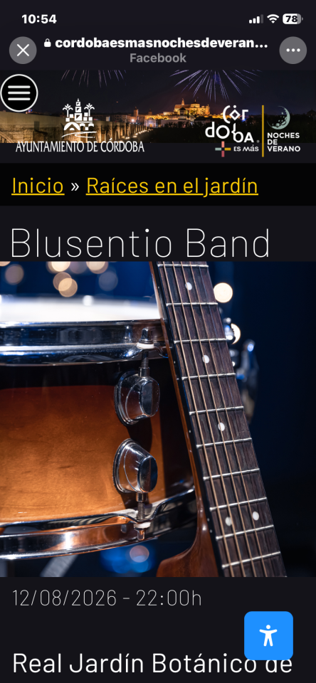 Banda de versiones de blues para tocar en directo de segunda mano · Foto 1 de 10 · Córdoba