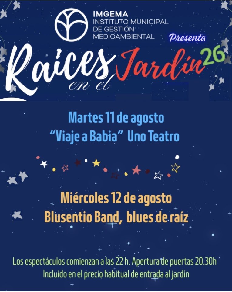 Banda de versiones de blues para tocar en directo de segunda mano · Foto 3 de 10 · Córdoba