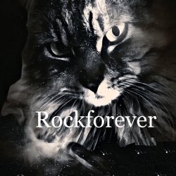 VENDIDA'''''JACKSON PC3 Phil Collen Signature 90s (def leppard) MADE IN JAPAN