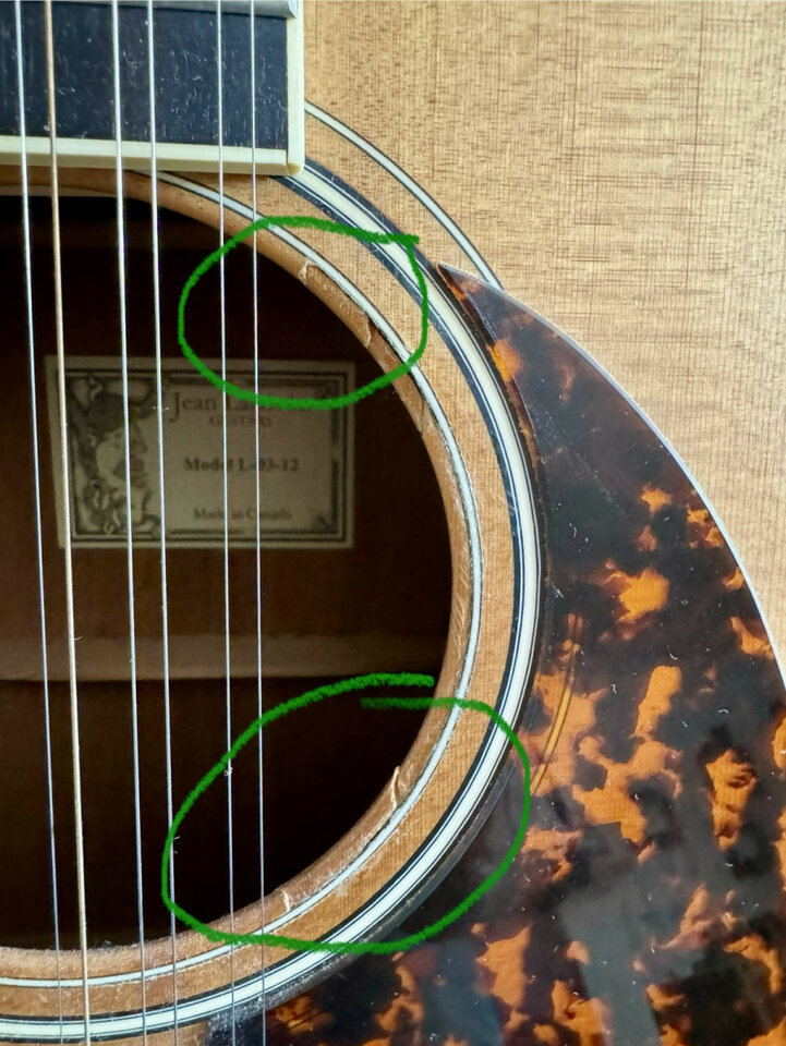 Larrivee L03 12 E 12 cuerdas