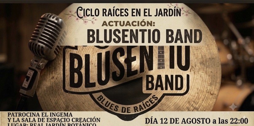 Banda de versiones de blues para tocar en directo de segunda mano · Foto 5 de 10 · Córdoba