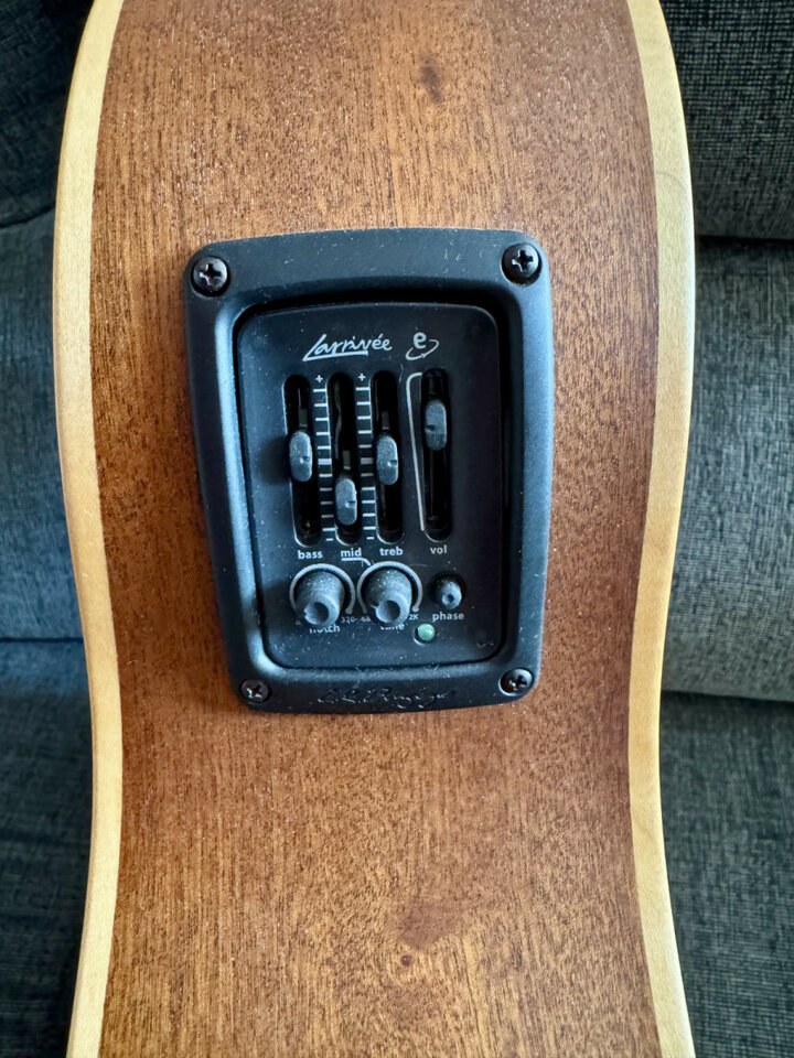 Larrivee L03 12 E 12 cuerdas