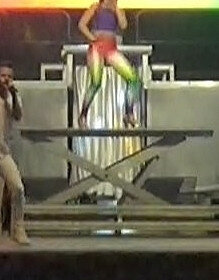 Alquilo/Vendo Tarima Elevadora  2mts.X1