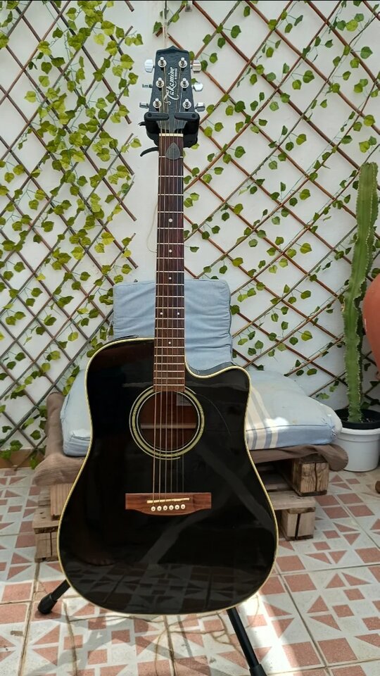 Takamine G Series EG321