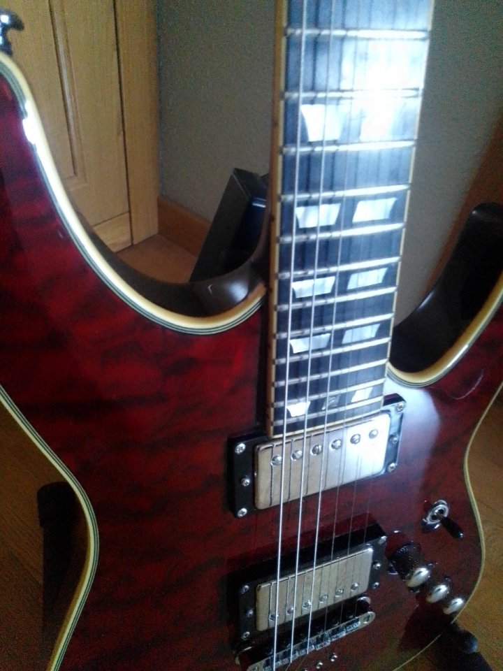 Schecter C-1 Custom