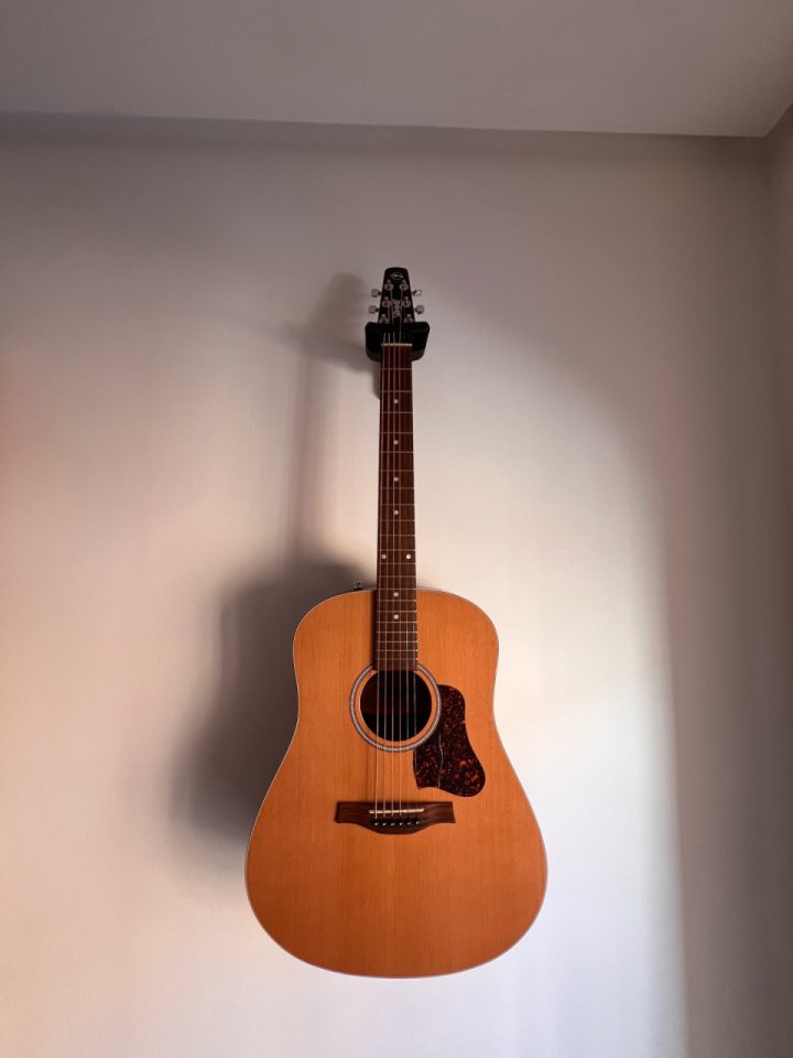 Seagull S6 de segunda mano · Foto 1 de 9 · Alicante · 750 €