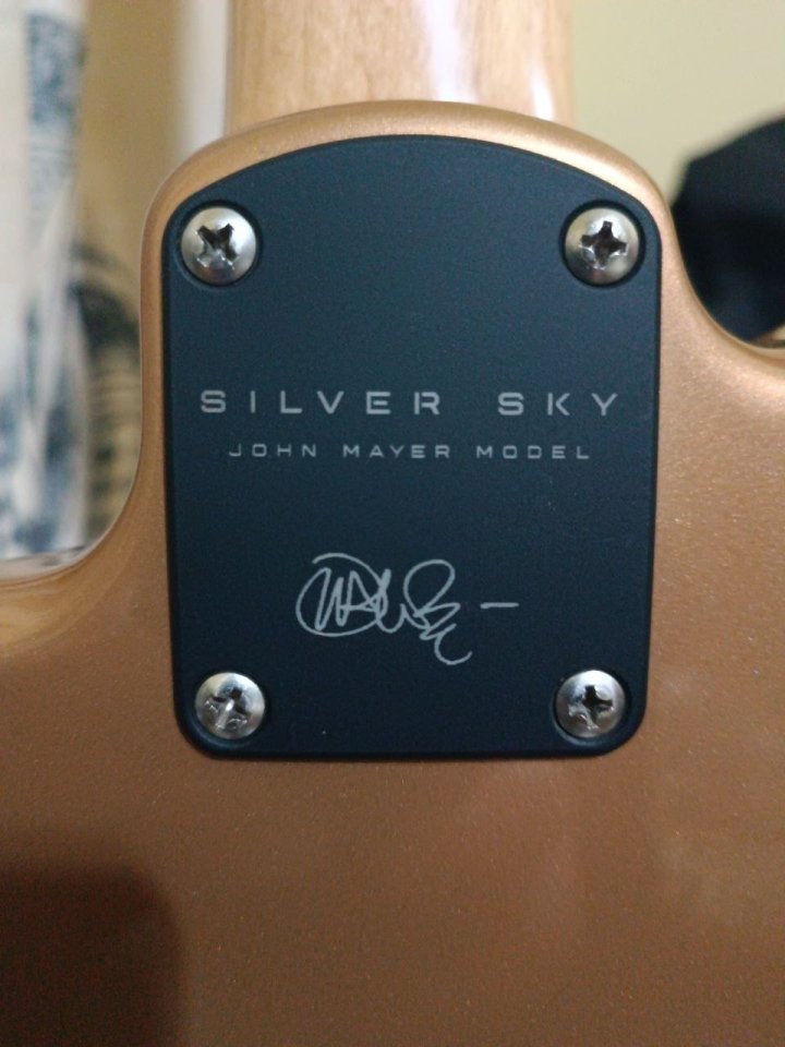 PRS Silver Sky John Mayer USA 2018 de segunda mano · Foto 4 de 9 · SC Tenerife · 2500 €