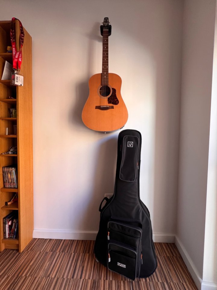 Seagull S6 de segunda mano · Foto 2 de 9 · Alicante · 750 €