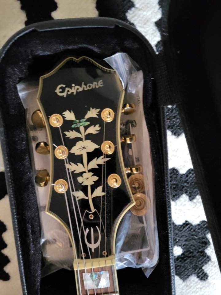 Epiphone Sheraton II con estuche de segunda mano · Foto 3 de 4 · Murcia · 450 €