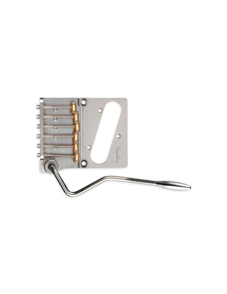 Busco Vegatrem VT2 Telecaster