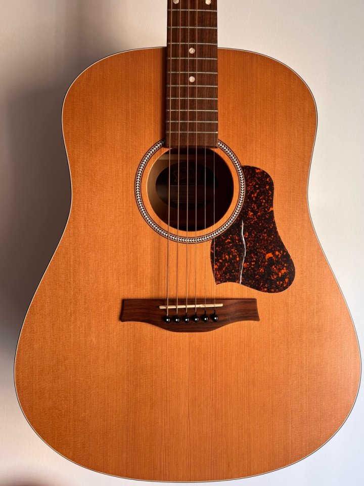 Seagull S6 de segunda mano · Foto 6 de 9 · Alicante · 750 €