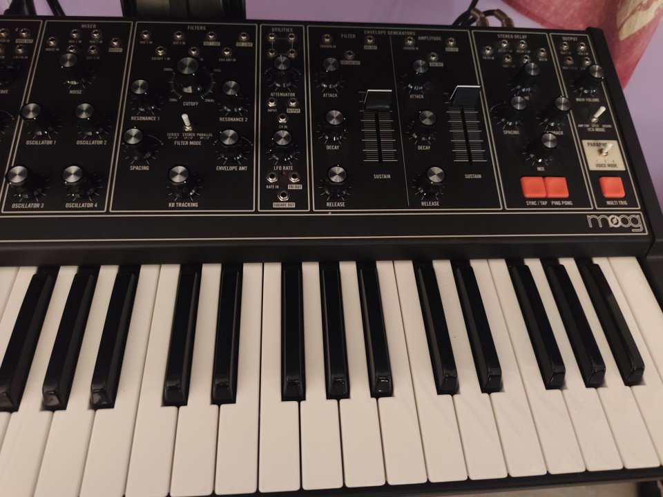 MOOG MATRIARCH (Limited black edition)