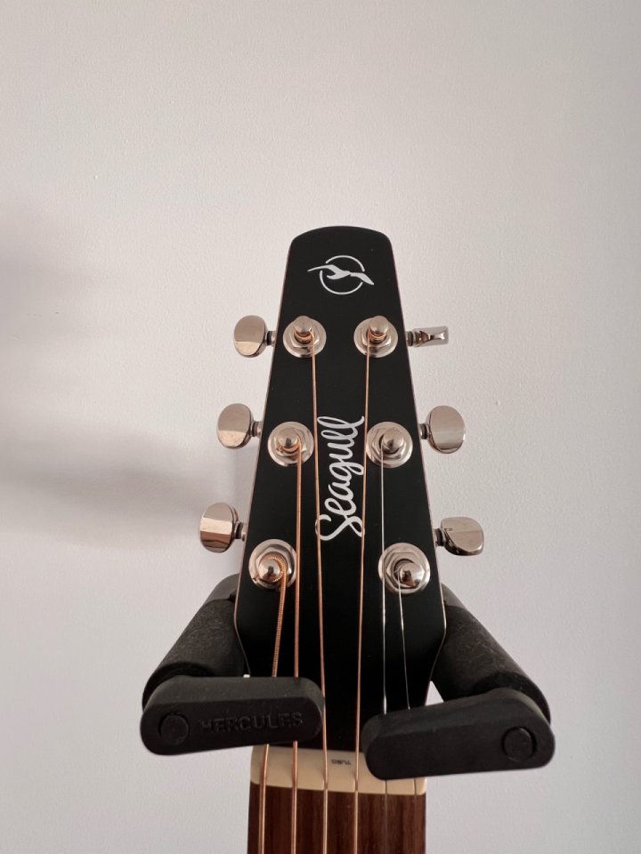 Seagull S6 de segunda mano · Foto 9 de 9 · Alicante · 750 €