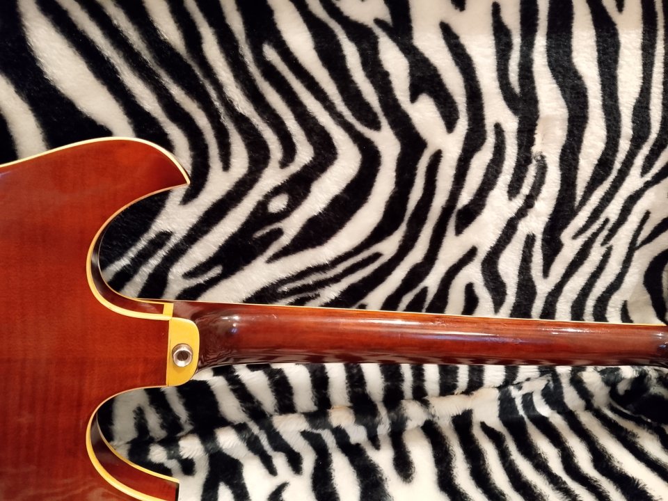 Bajo Klira 187-B Shake Star Aleman de 1967