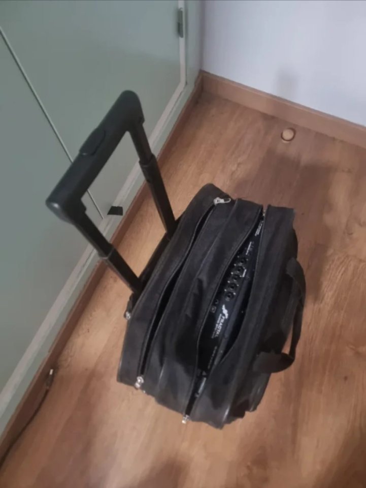 Fractal Audio AX8 + Pedal expresión EV-1 + Maletín de segunda mano · Foto 8 de 9 · Barcelona · 900 €