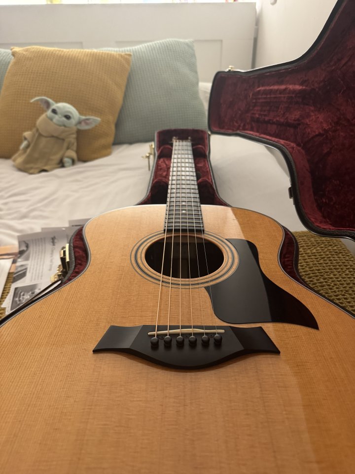 Taylor 314 E (reservada)
