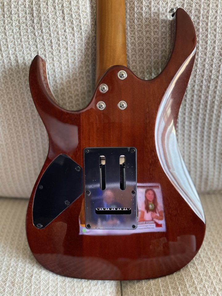 Ibanez GRG220 transparent brown black