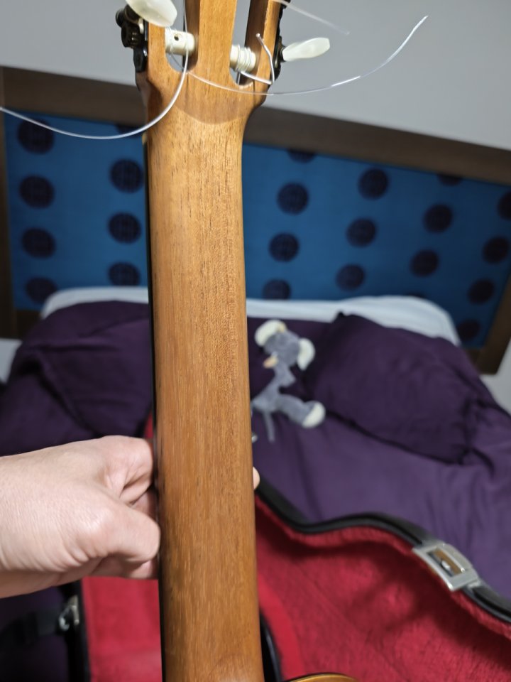 Antonio Marín montero