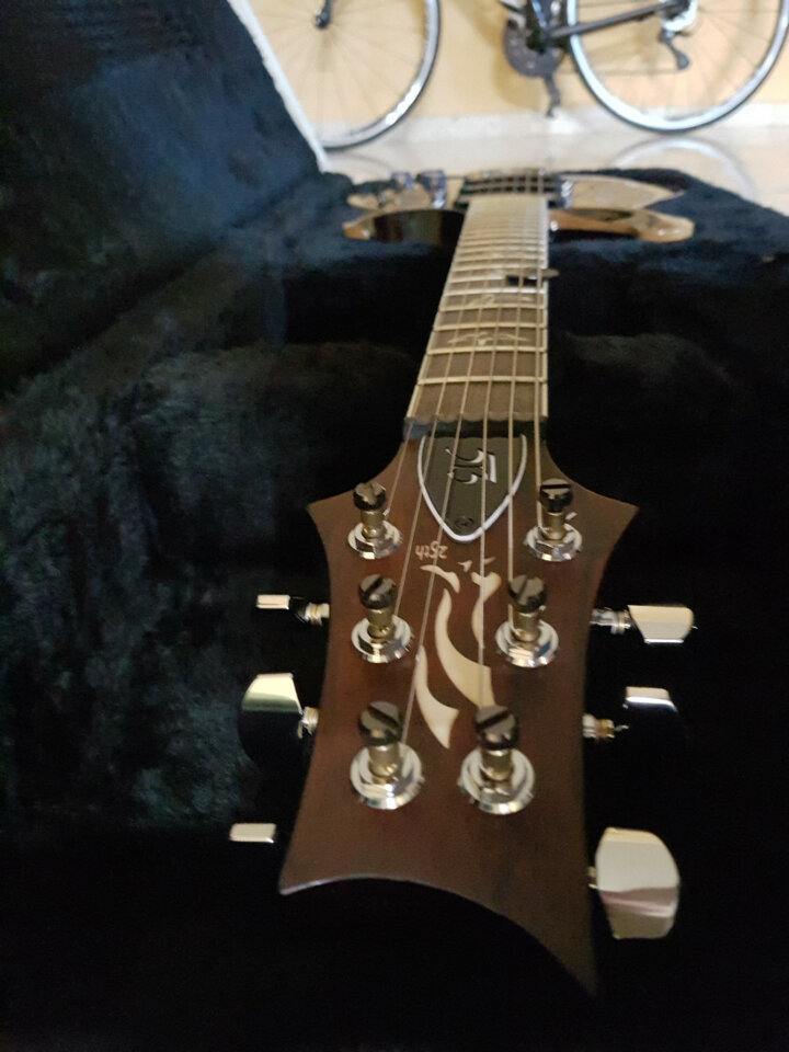 Prs 513 25th anniversary Angry Larry